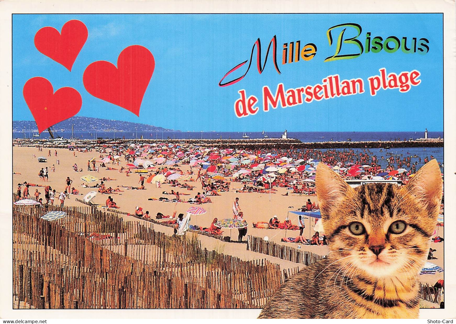 34 MARSEILLAN MARSEILLAN PLAGE