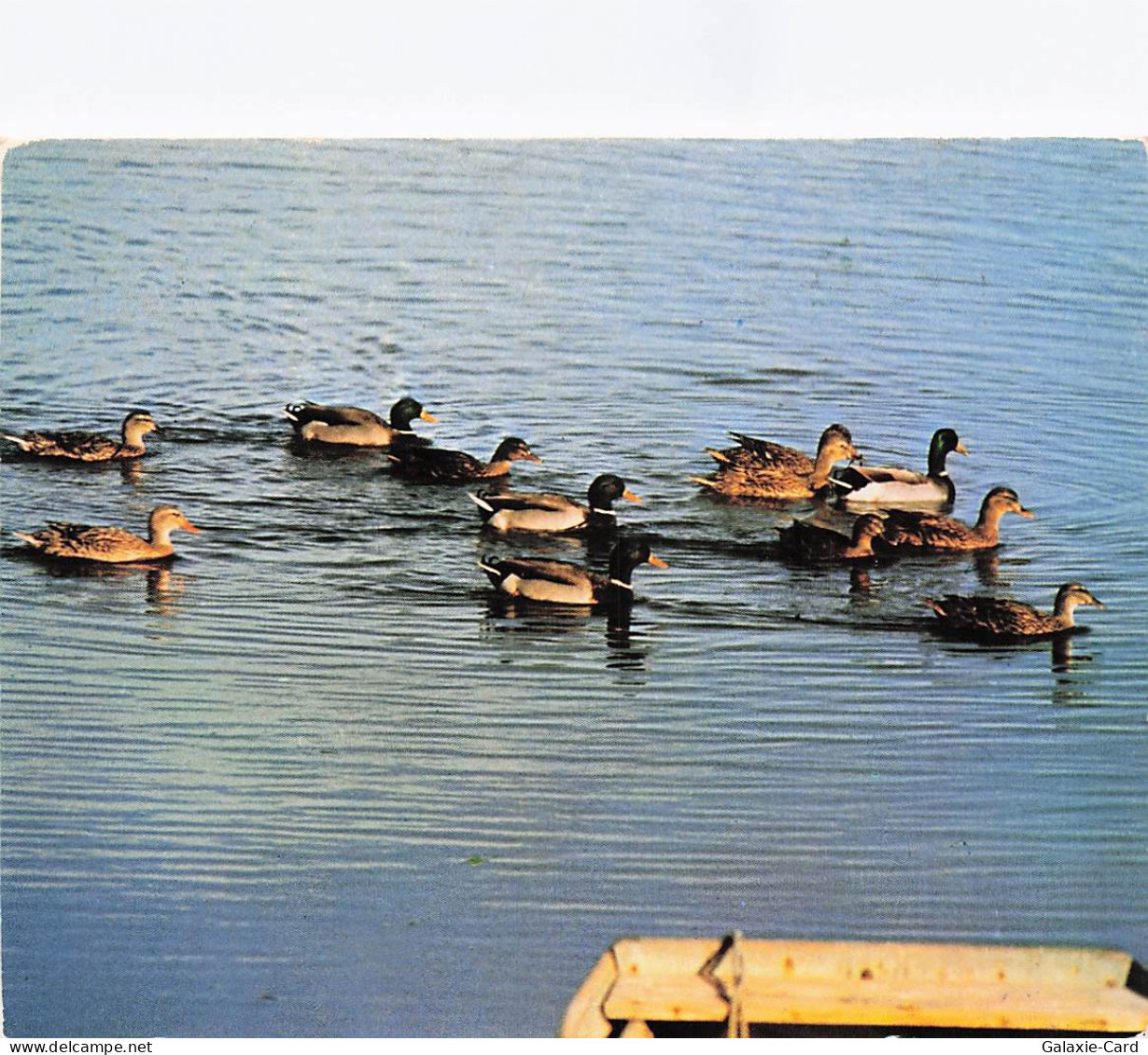 34 MARSEILLAN MARSEILLAN PLAGE