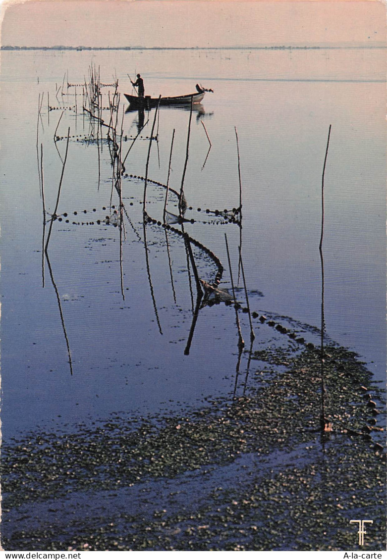 34 MAUGUIO ETANG DE MAUGUIO