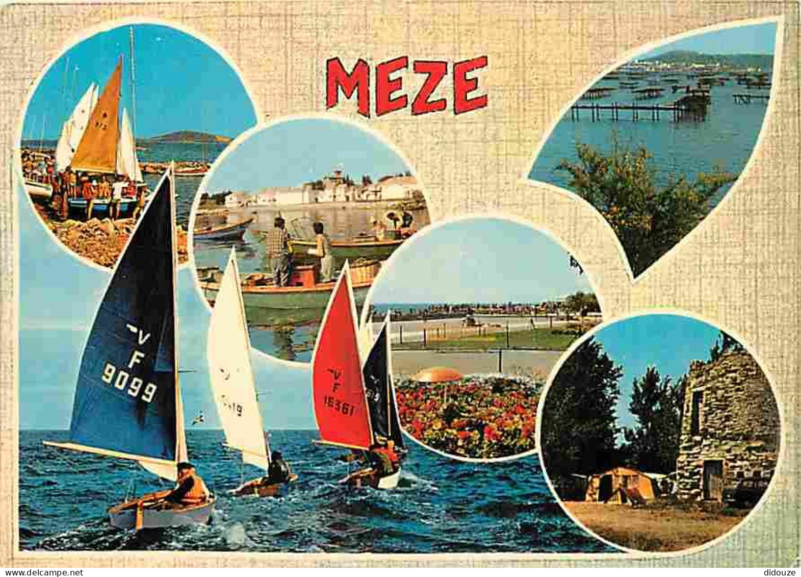 34 - Mèze - Multivues - Voile - CPM - Voir Scans Recto-Verso