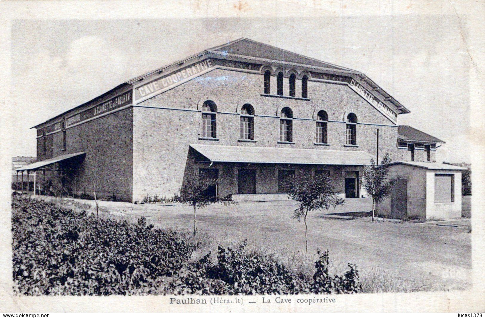 34 / PAULHAN / CAVE COOPERATIVE / CLAIRETTE DE PAULHAN / FM TAMPON MILITAIRE