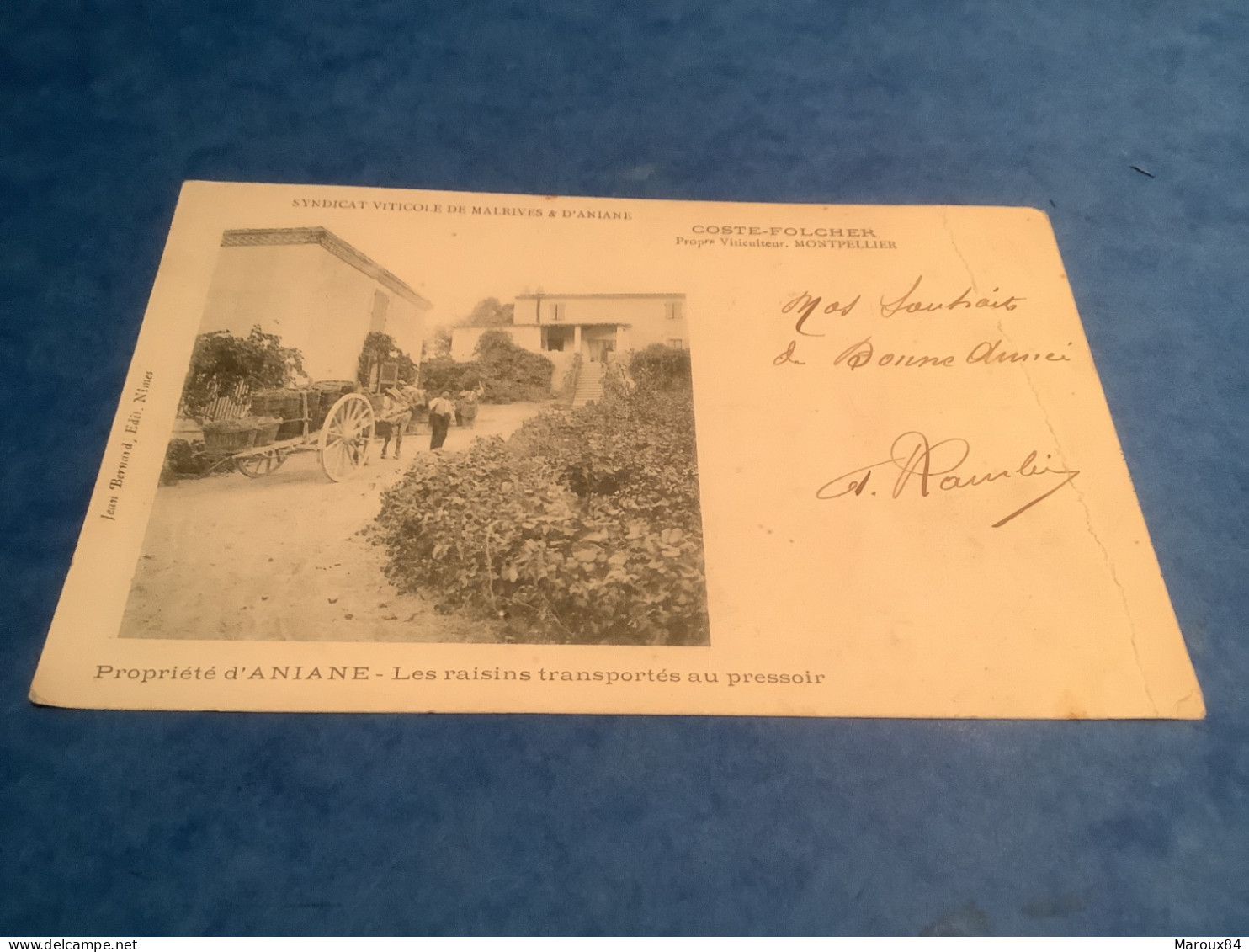 34/ précurseur aniane syndicat viticole de malrives prop coste.folcher les raisins transportes au pressoir