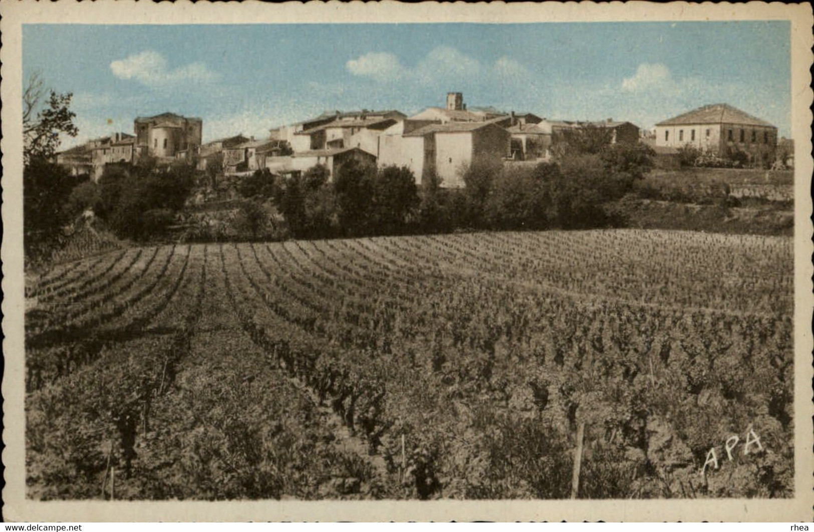 34 - SAINT-CHRISTOL - vue générale - vignes