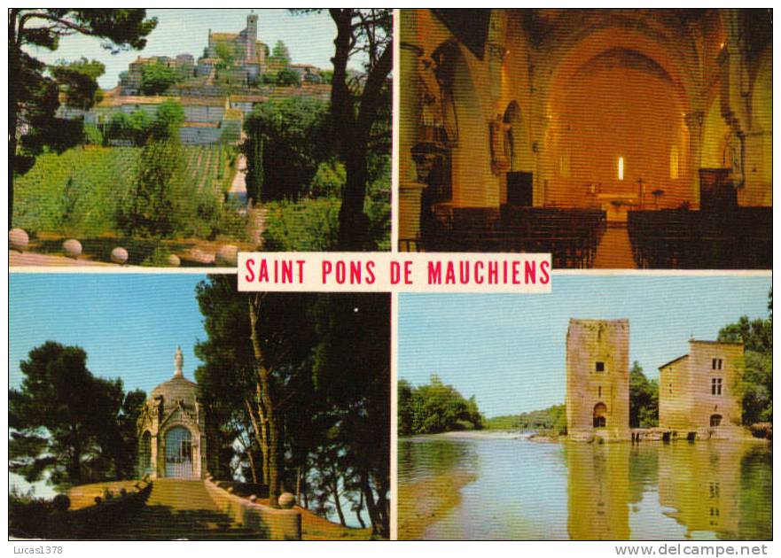 34 / SAINT PONS DE MAUCHIENS / MULTIVUES
