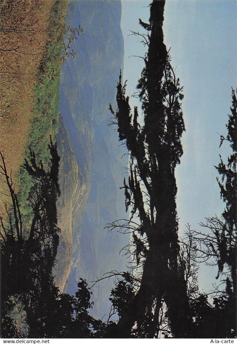 34 SAINT PONS DE THOMIERES COL DU CABARETOU