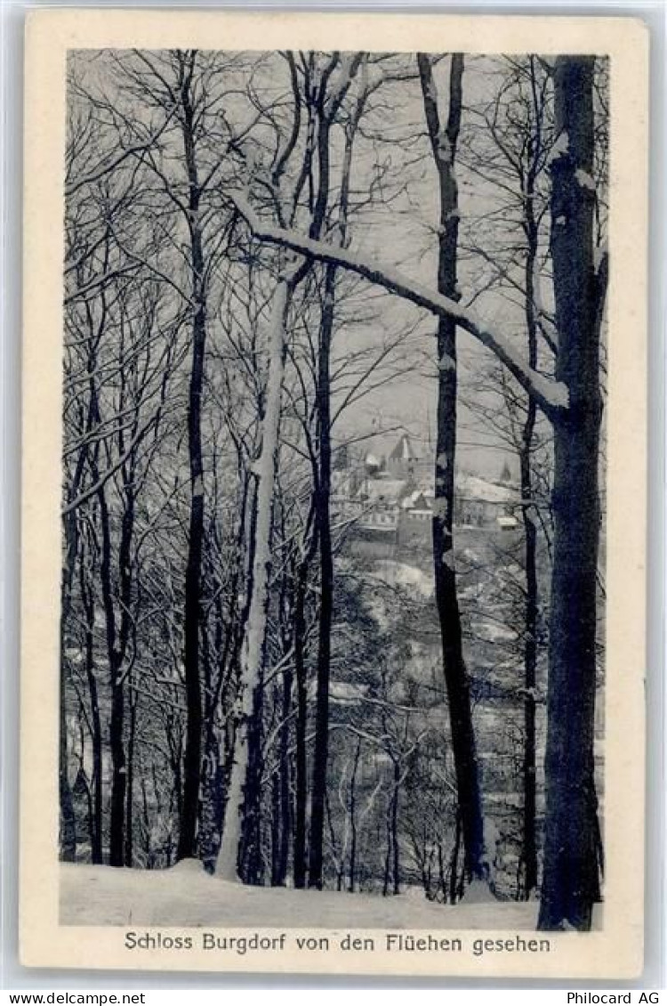 3400 Burgdorf Berthoud - Schloß Burgdorf von den Flühen gesehen - 51098026