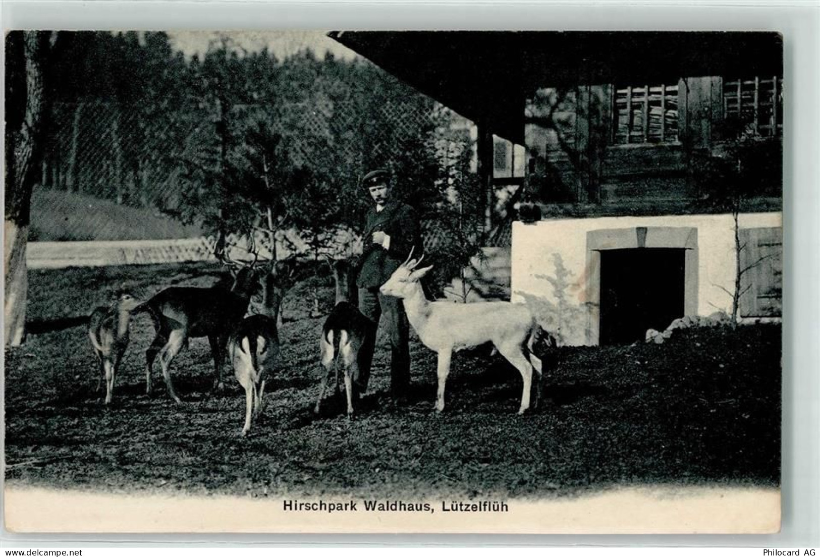 3432 Lützelflüh-Goldbach 1909 - Hirschpark Waldhaus - 10621939