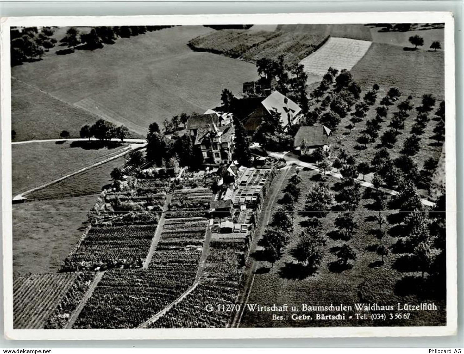 3432 Lützelflüh-Goldbach 1956 - Wirtschaft und Baumschulen Waldhaus-Lütz... - 13078020