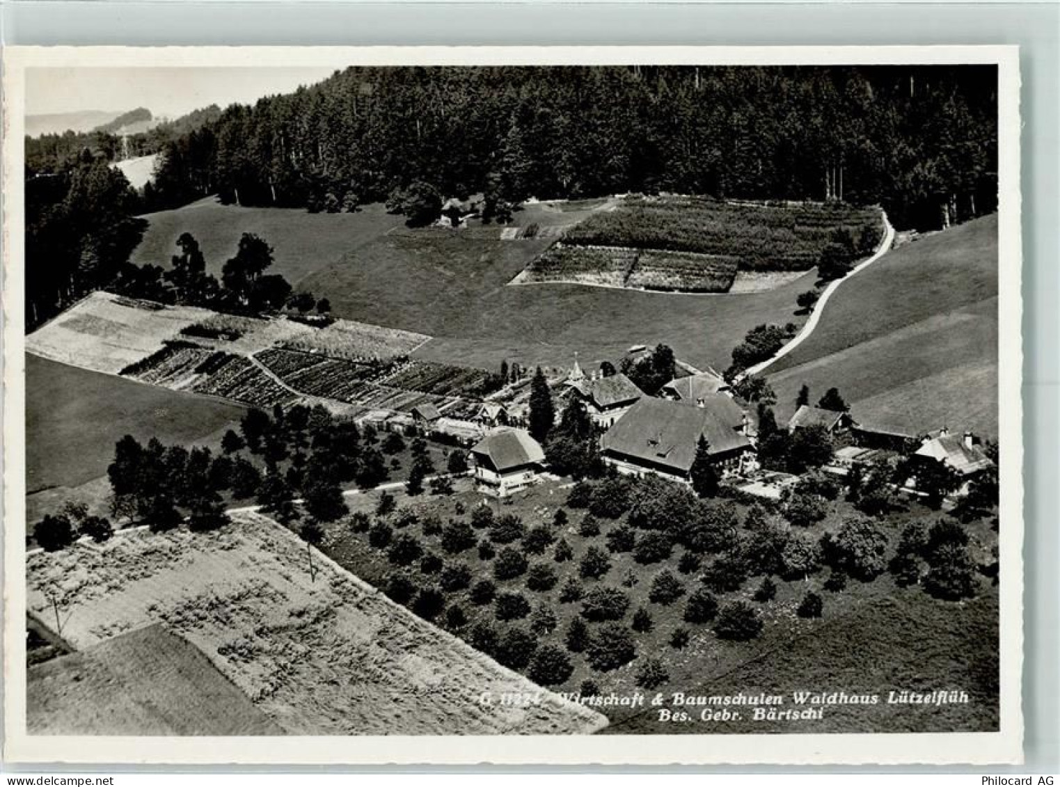 3432 Lützelflüh-Goldbach - Wirtschaft und Baumschulen Waldhaus - 13132147