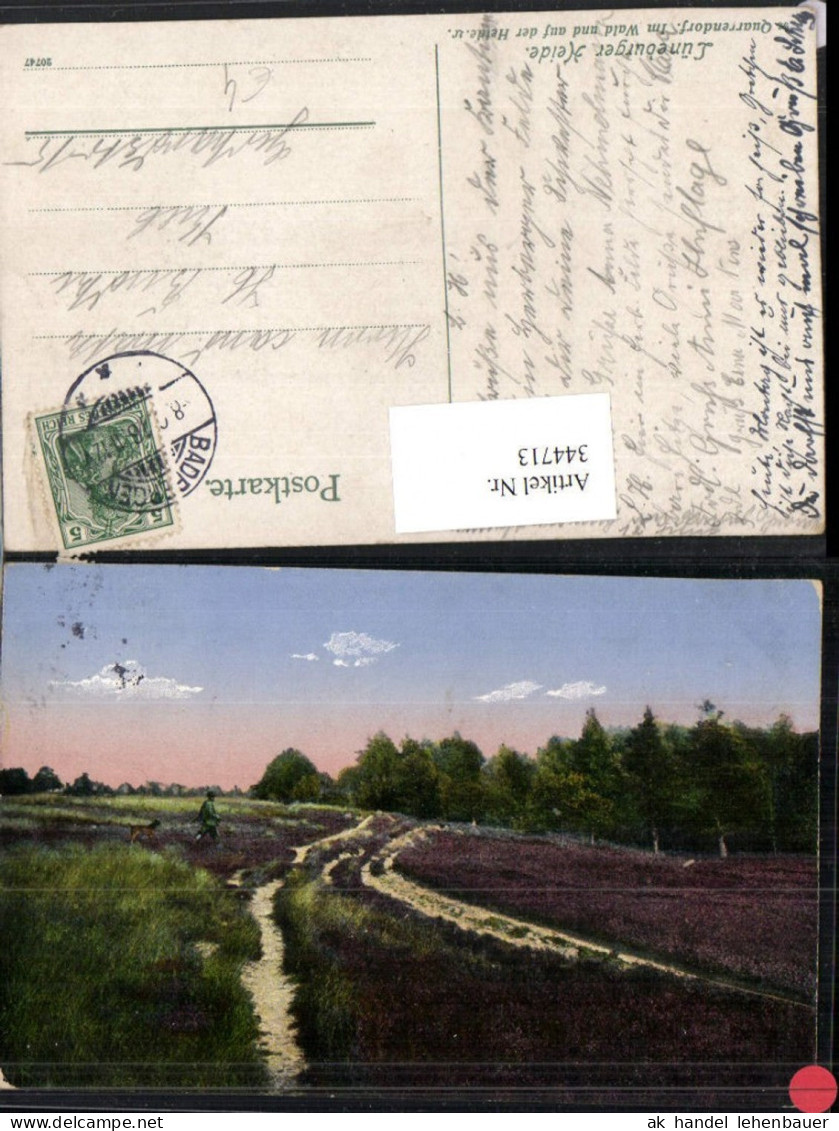 344713,Lüneburger Heide Quarrendorf Im Wald und auf der Heide Landschaft