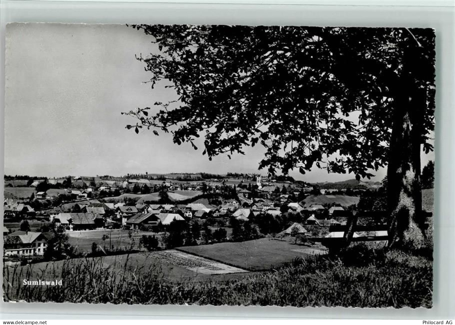 3454 Sumiswald - 10163418