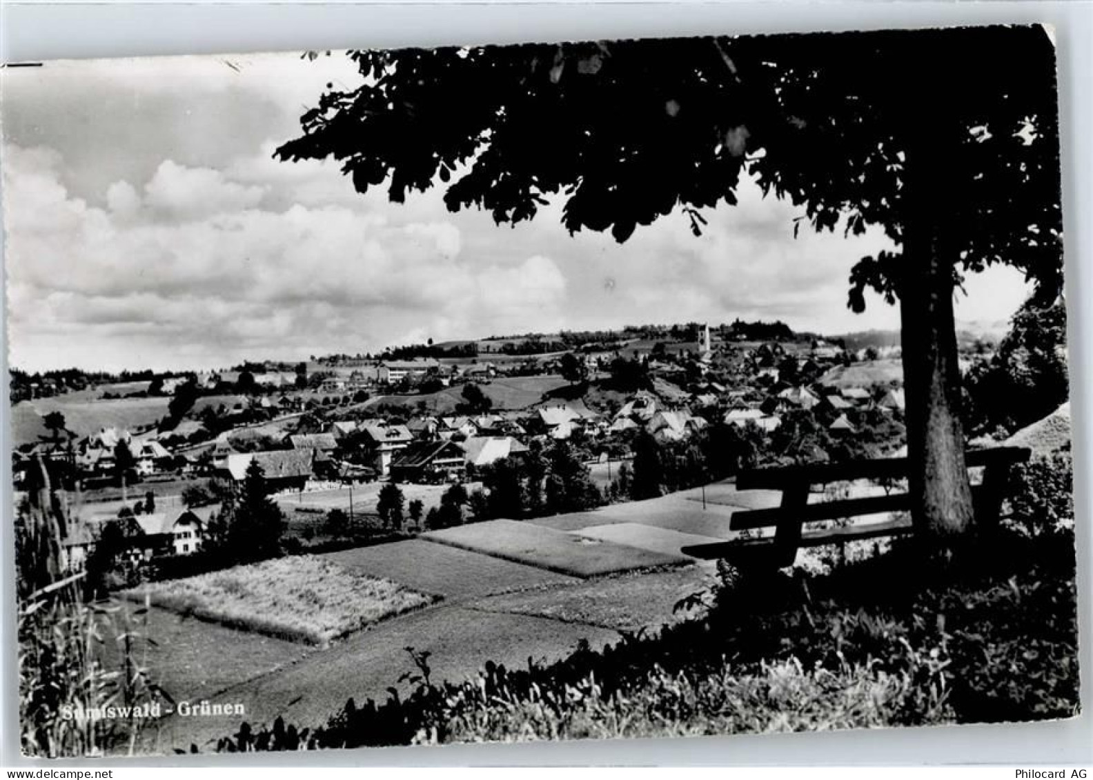 3454 Sumiswald - 50773327