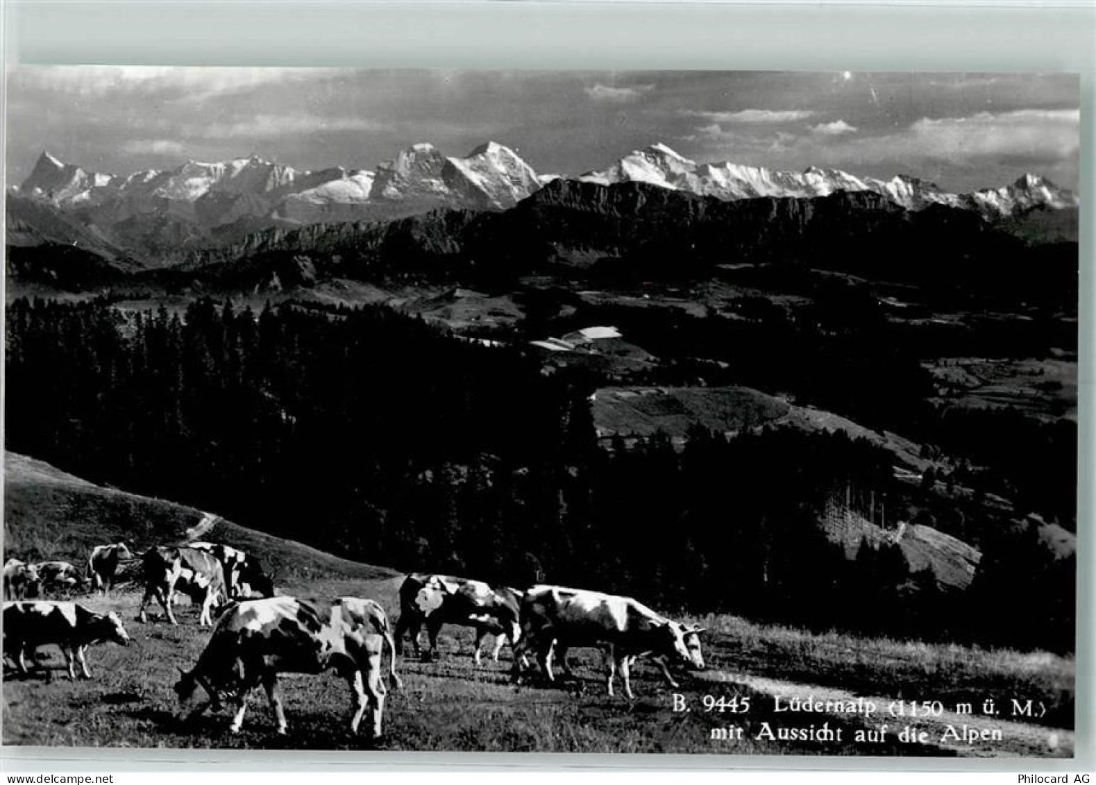 3454 Sumiswald - Alpenkette Lüderenalp - 10304830