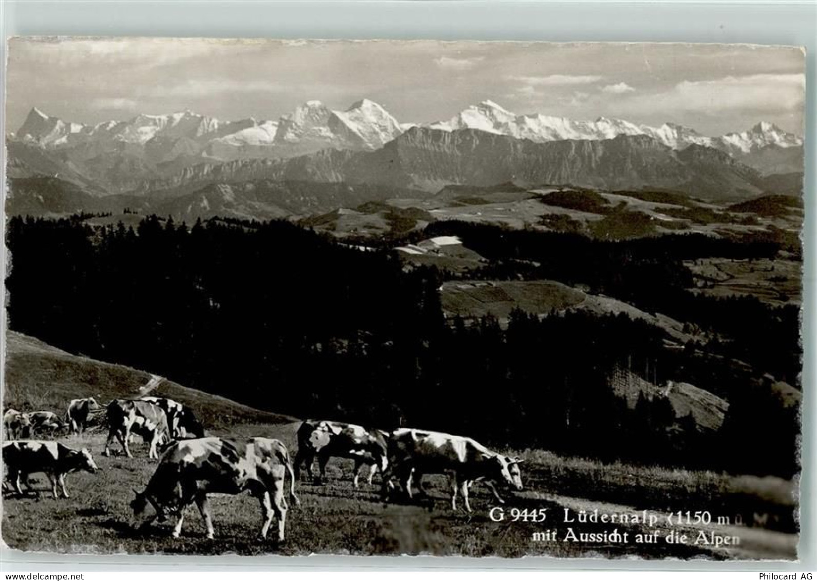 3454 Sumiswald - Alpenkette Lüderenalp - 10304831