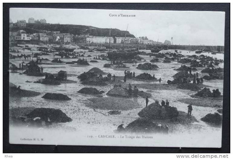 35 Cancale    D35D  K35049K  C35049C RH502604