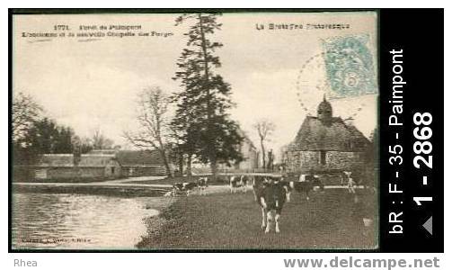 35 Paimpont - 1771 - Forêt de Paimpont - L'Ancienne et la nouvelle Chapelle des Forges - chap /  D35D  K35223K  C35211C