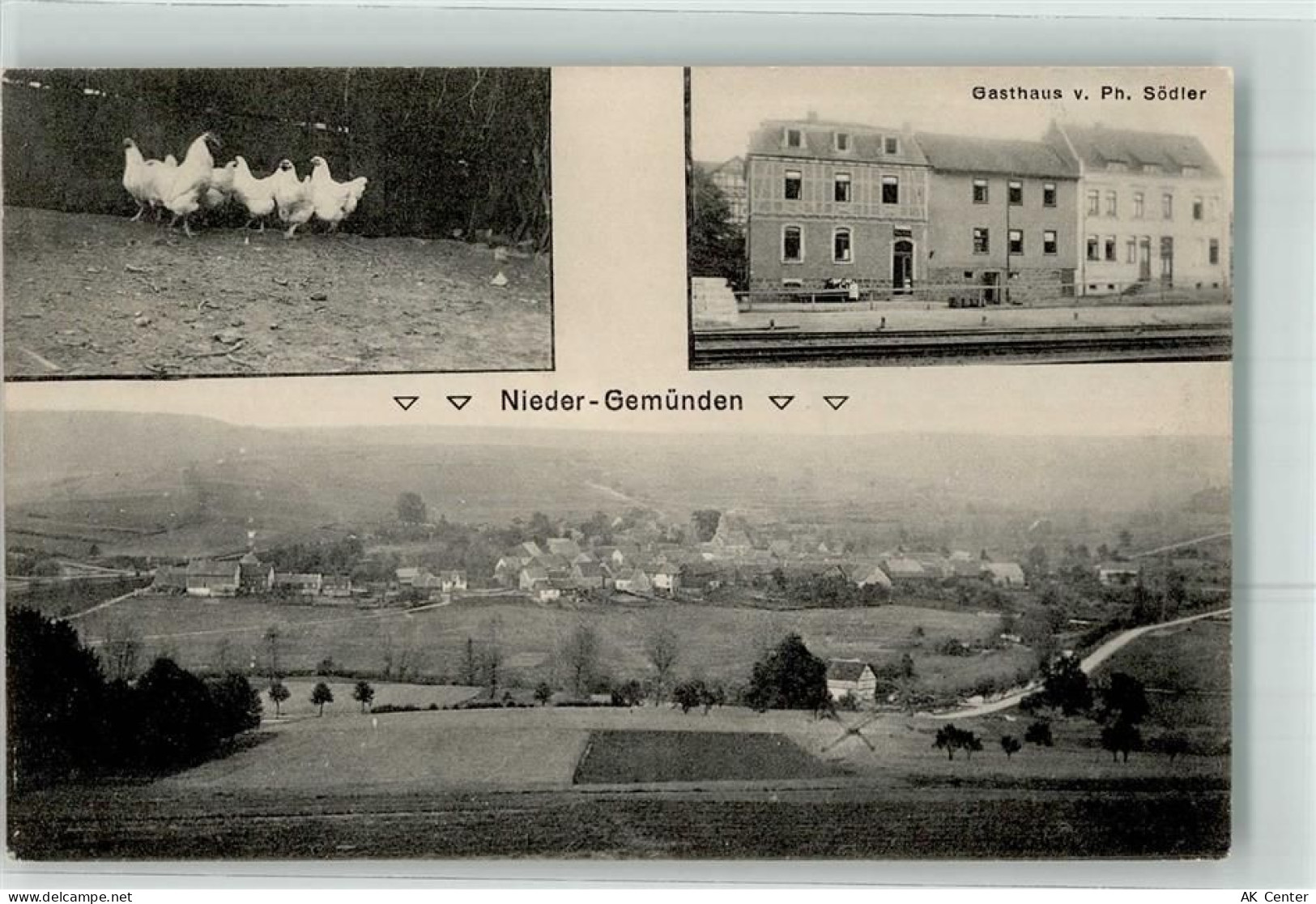 35329 W6316 Nieder-Gemünden 1913 - Gasthaus Ph. Södler Hühner - 13622258