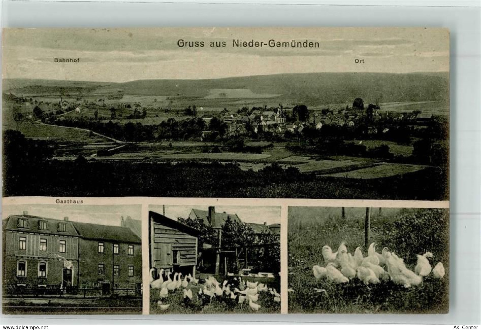 35329 W6316 Nieder-Gemünden - Gasthaus Pension Otto Soedler Geflügelzuch... - 13622257