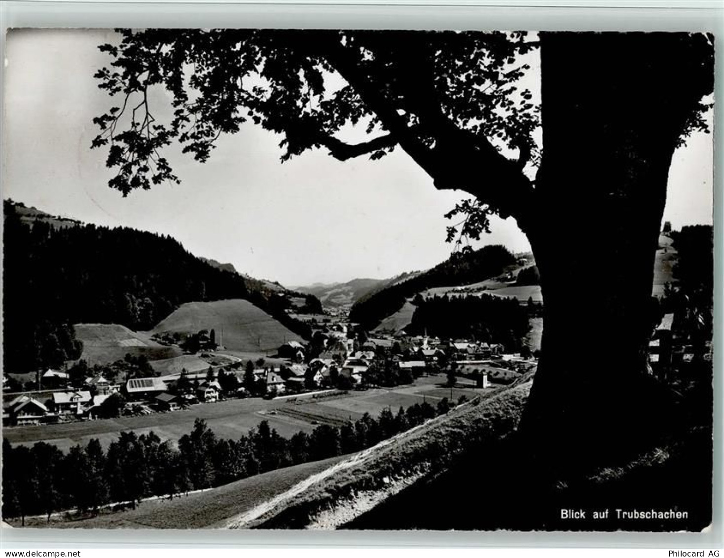 3555 Trubschachen - Blick auf Trubschachen Baum - 11088184