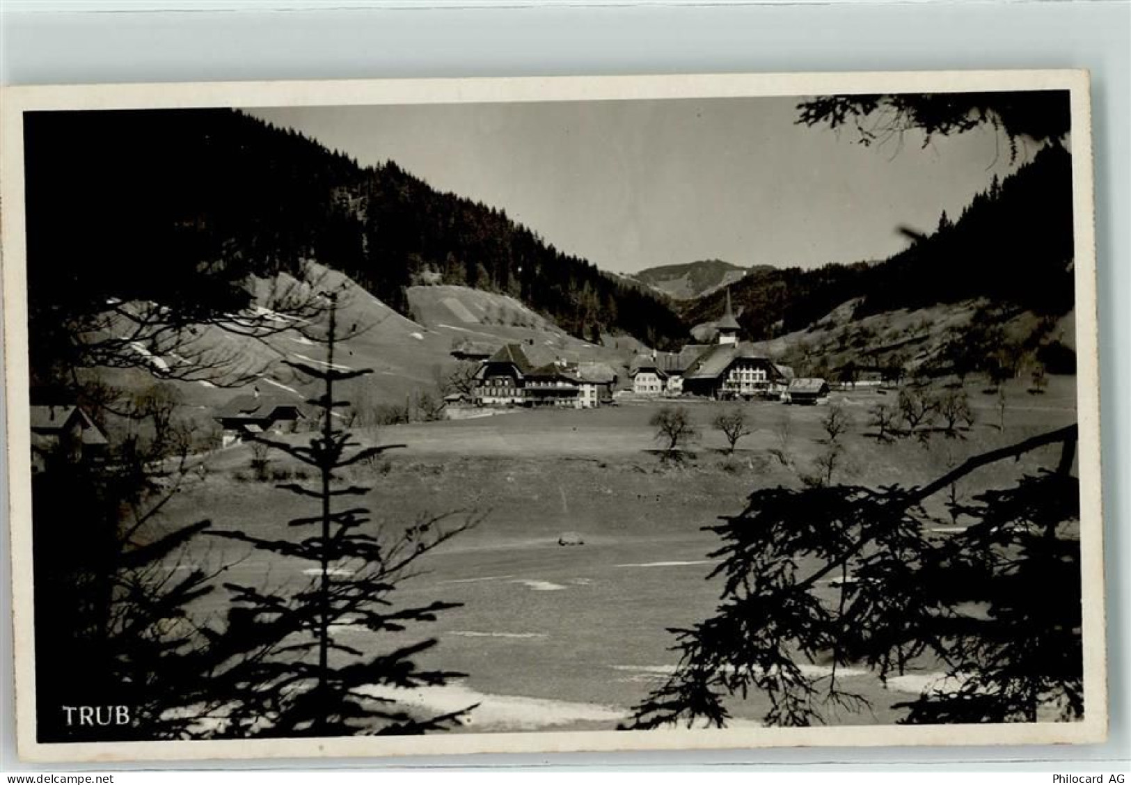 3556 Trub - 10606365