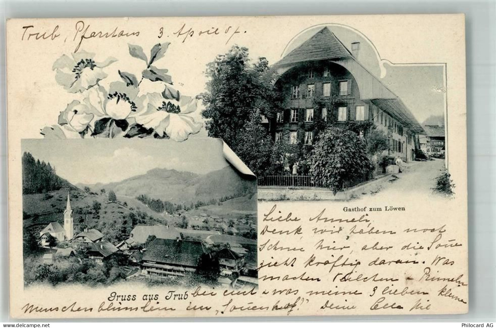 3556 Trub 1907 Foto AK Gasthaus zum Löwen - 13663885