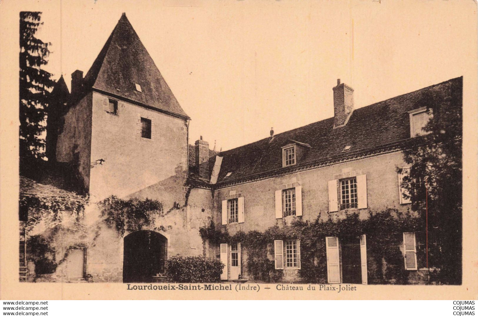 36 - LOURDOUEIX SAINT MICHEL - S38104 - château du Plaix Joliet