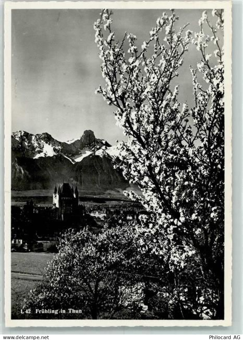 3600 Thun - 10311659