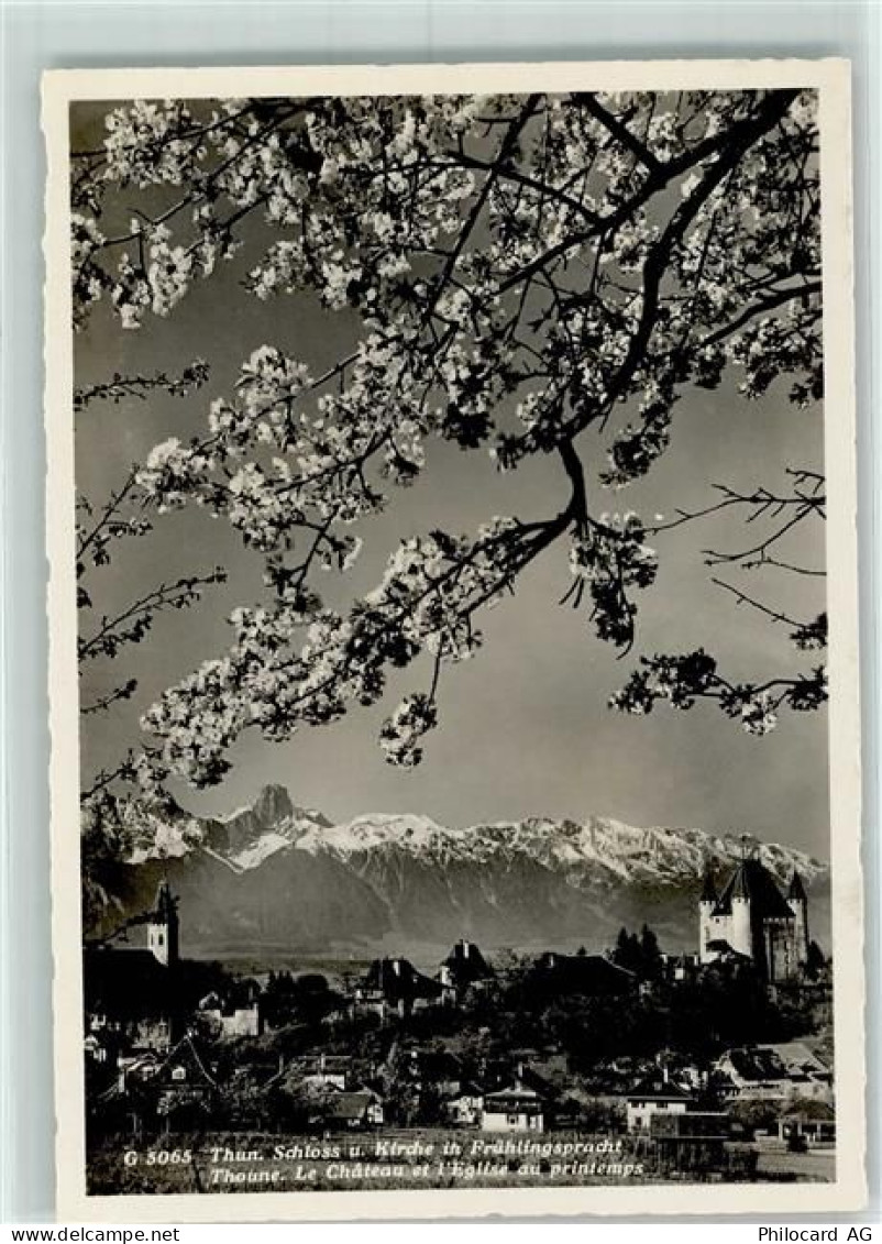 3600 Thun - 10311690