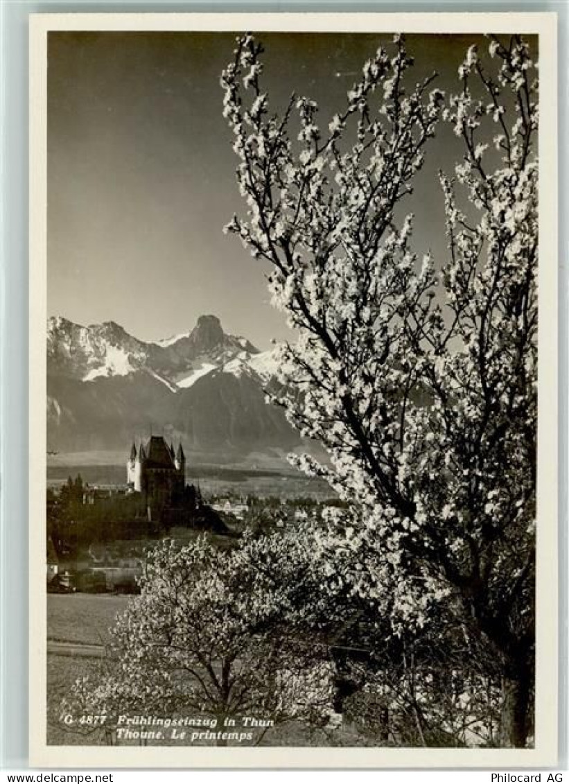 3600 Thun - 10311703
