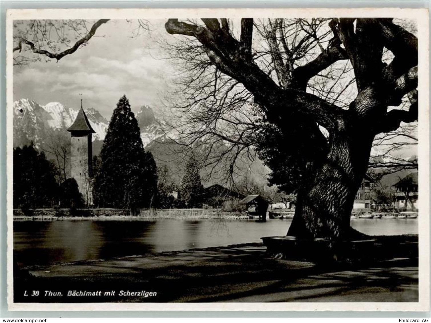 3600 Thun - 10311706