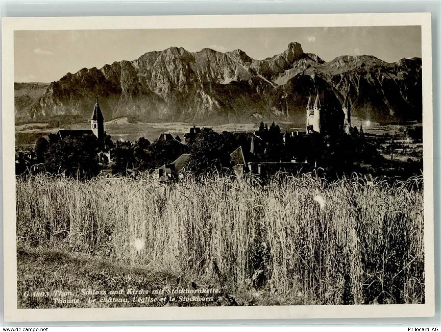 3600 Thun - 10311717