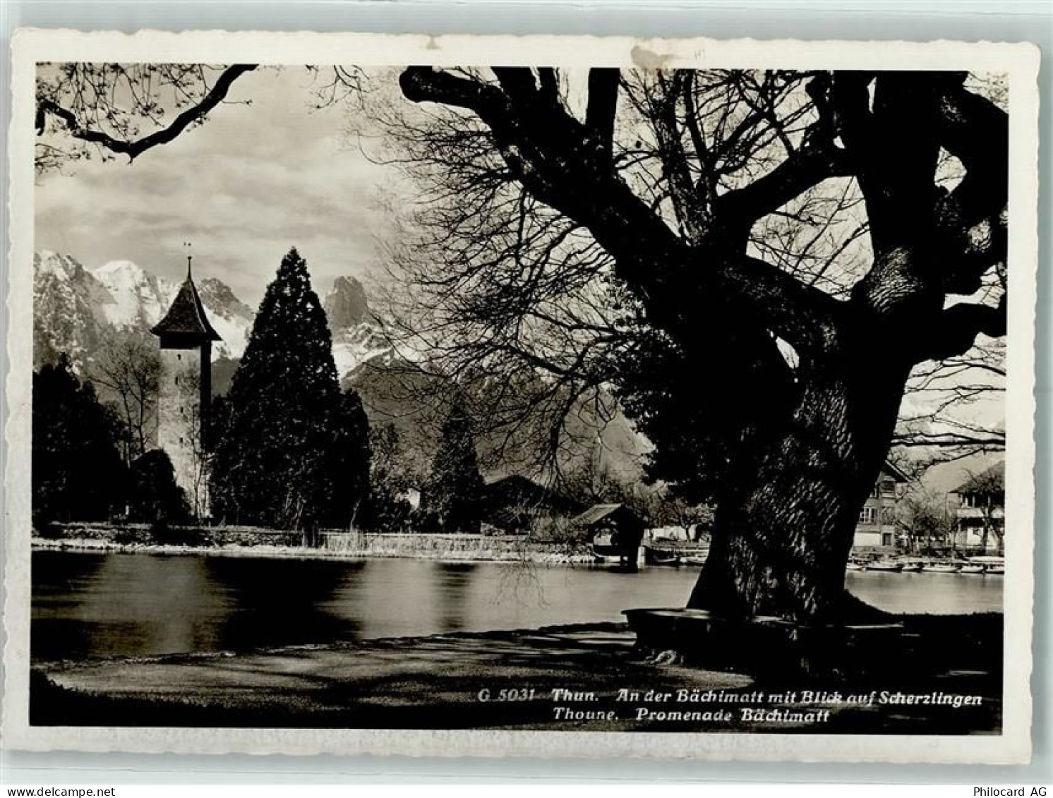 3600 Thun - 10311737