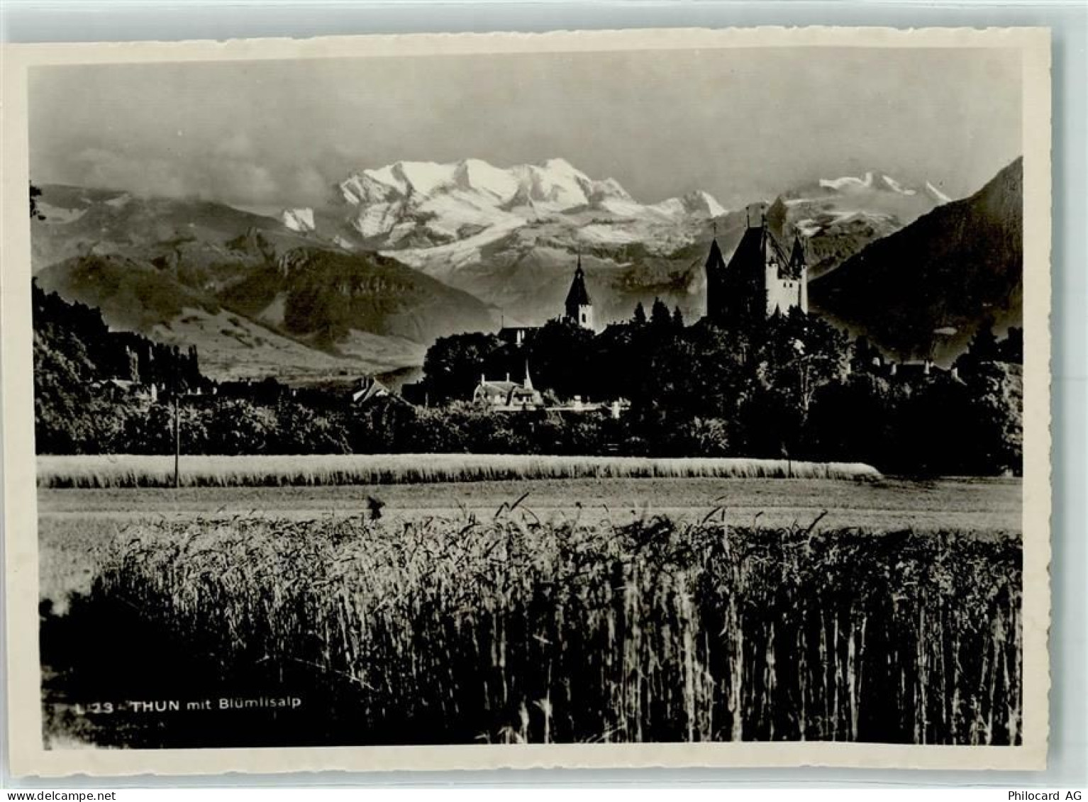 3600 Thun - 10311742