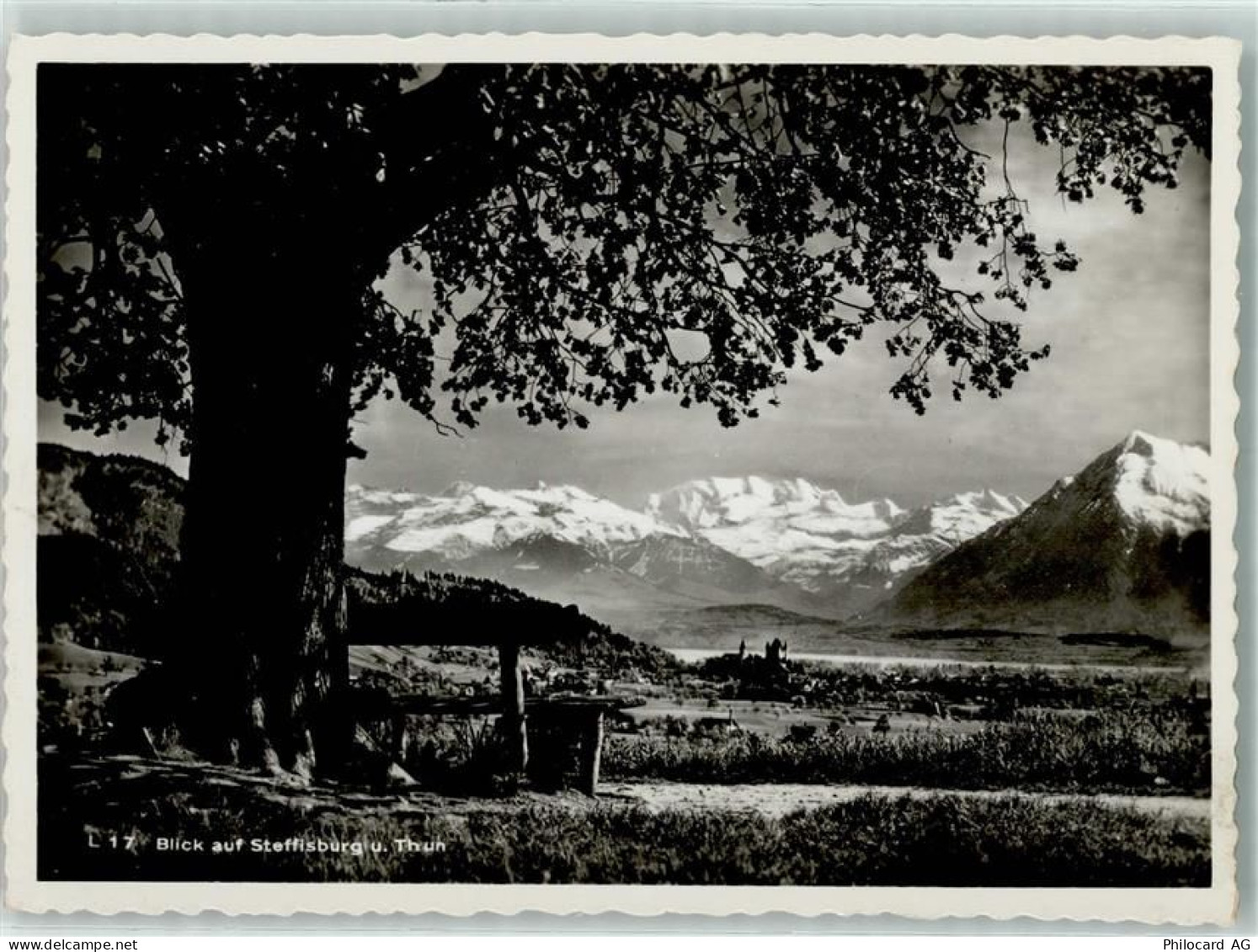 3600 Thun - 10311746