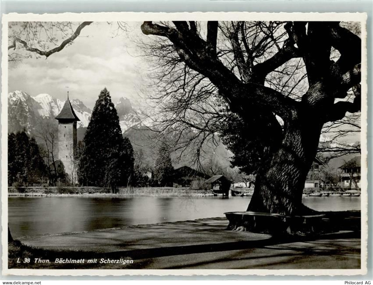 3600 Thun - 10311749