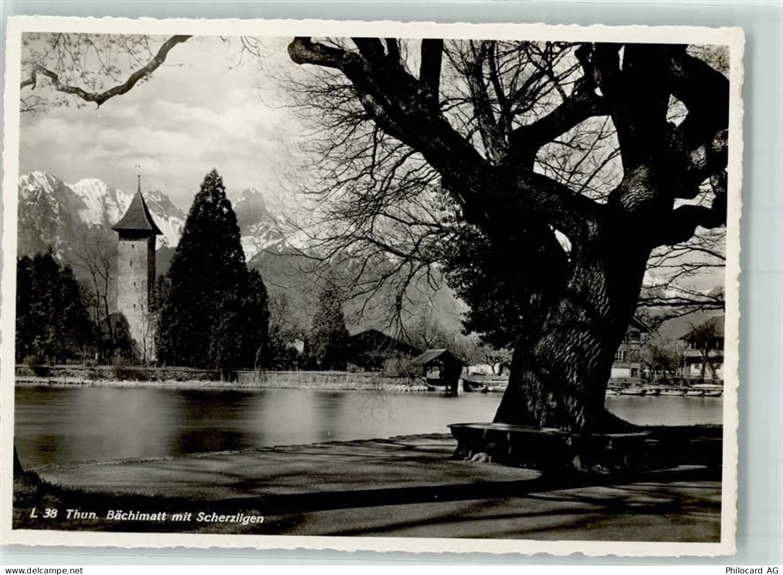 3600 Thun - 10311751