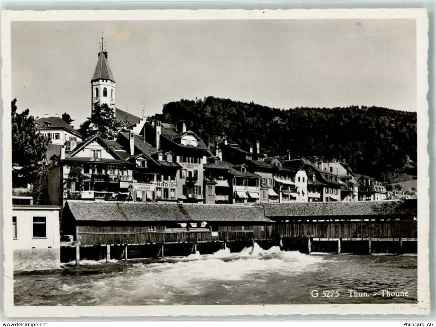 3600 Thun - 10311781