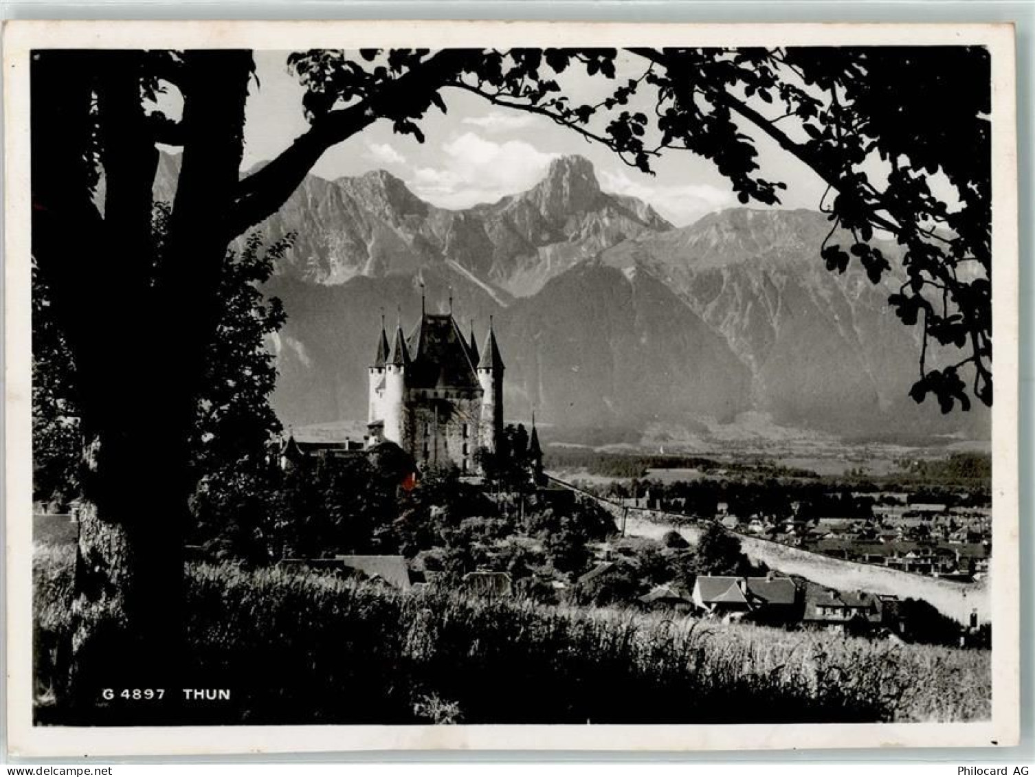 3600 Thun - 10311787