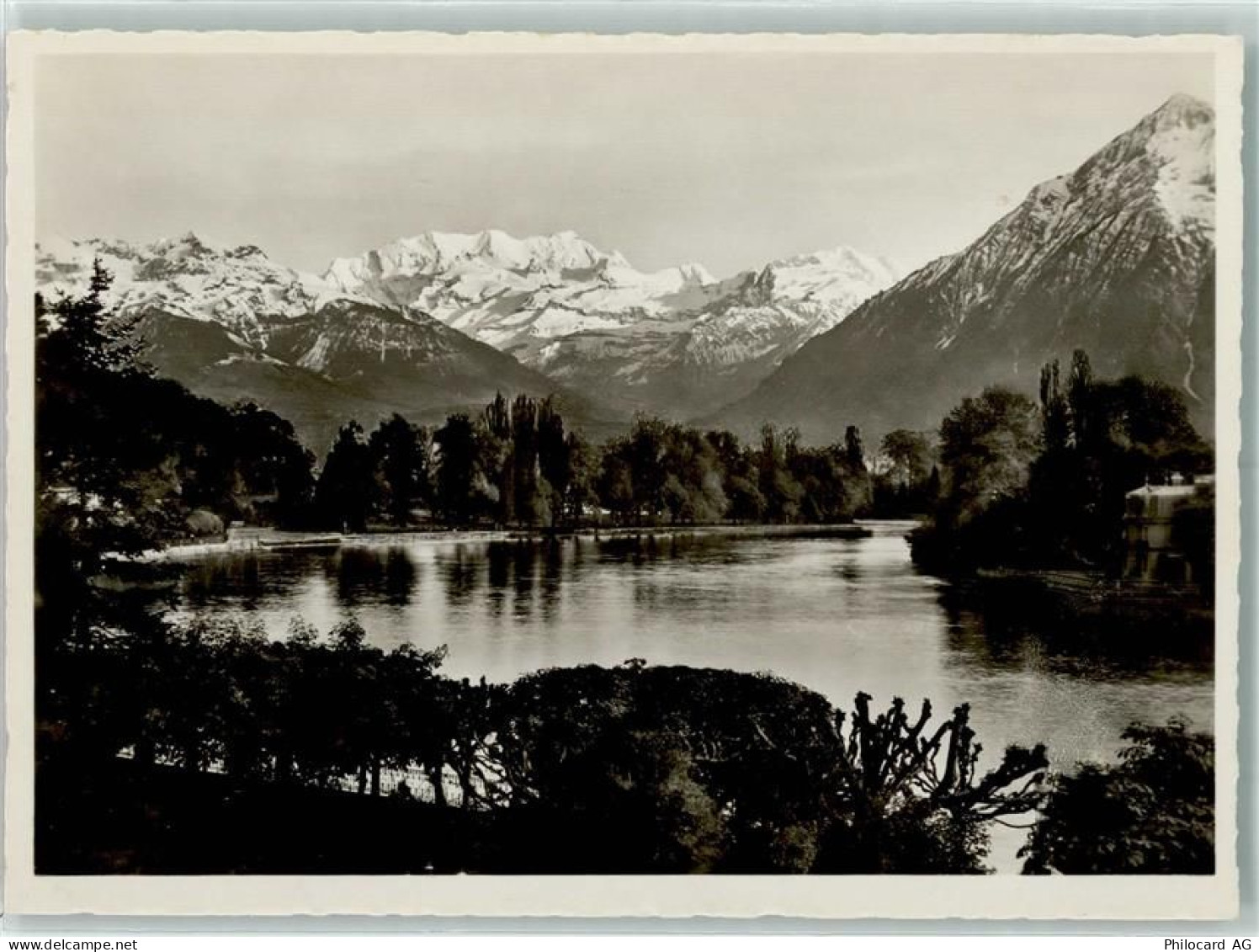 3600 Thun - 10311792