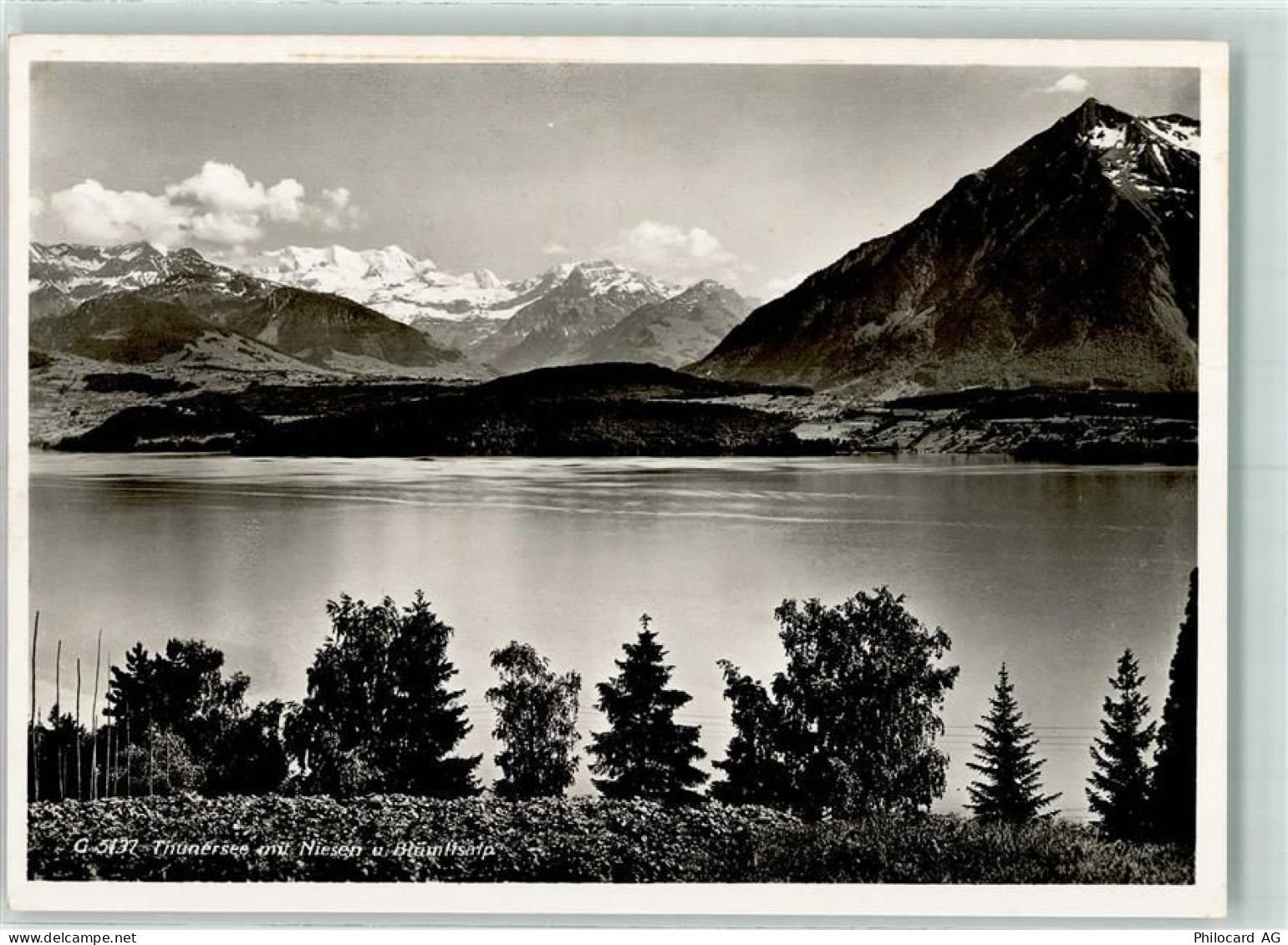 3600 Thun - 10311808