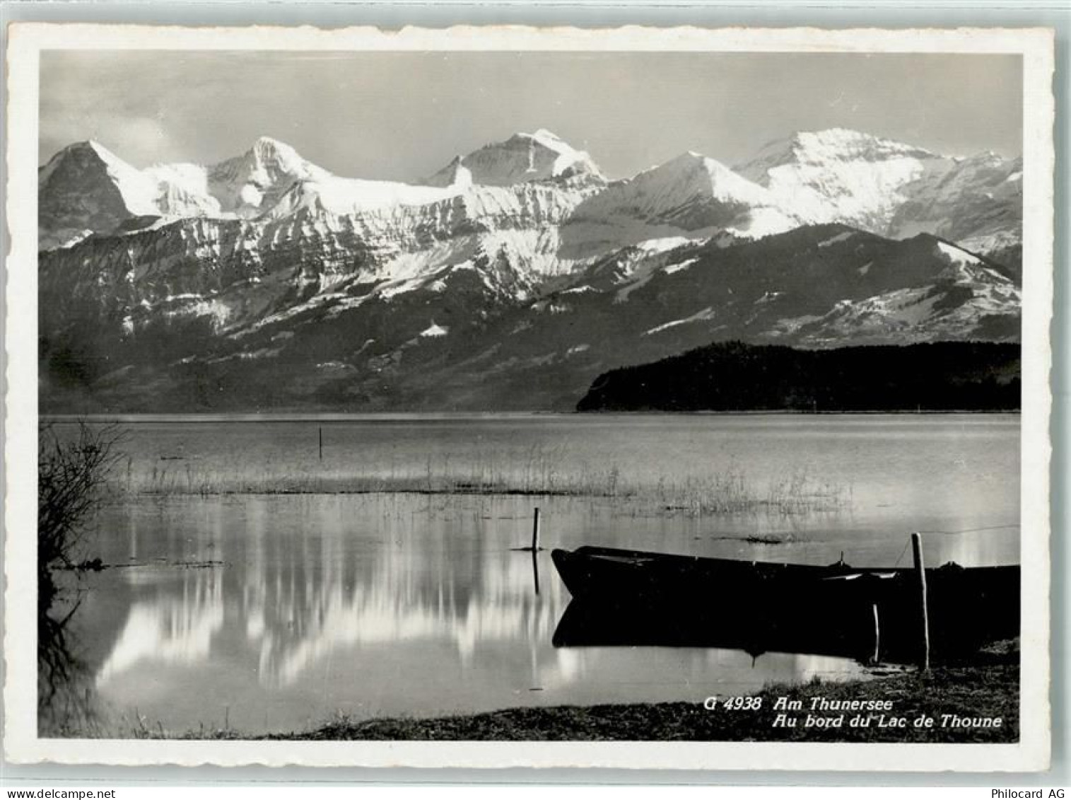 3600 Thun - 10311812