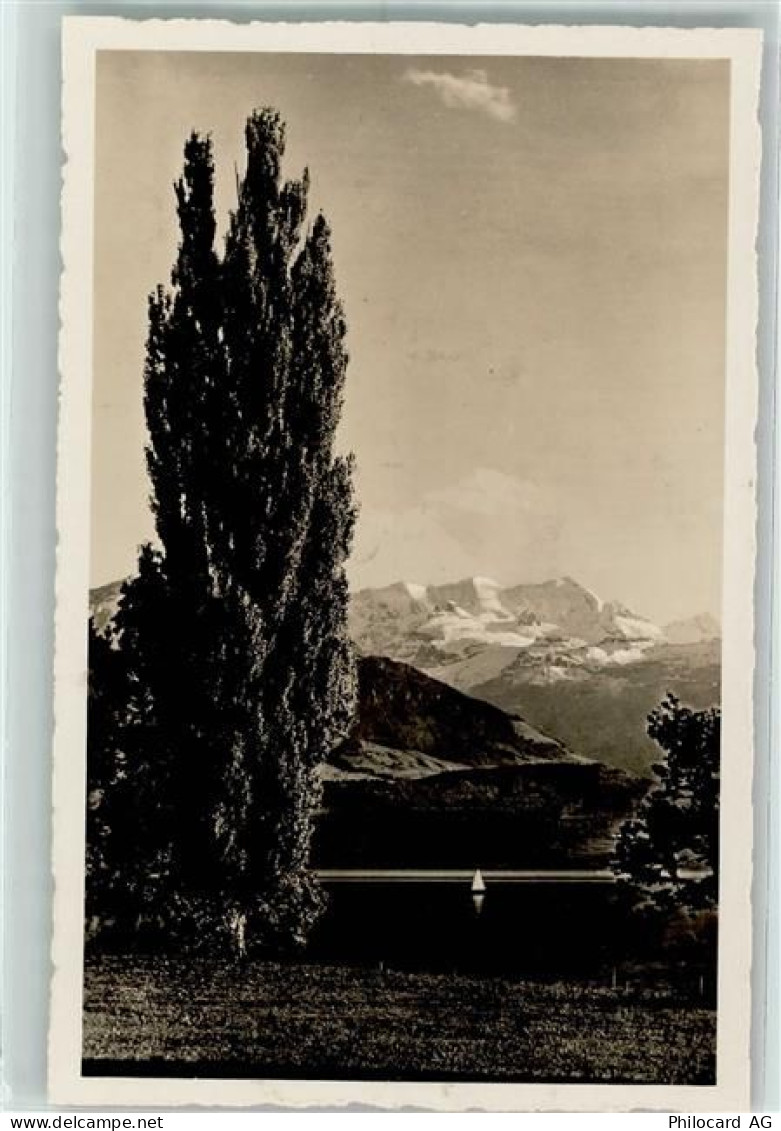 3600 Thun - 10311866