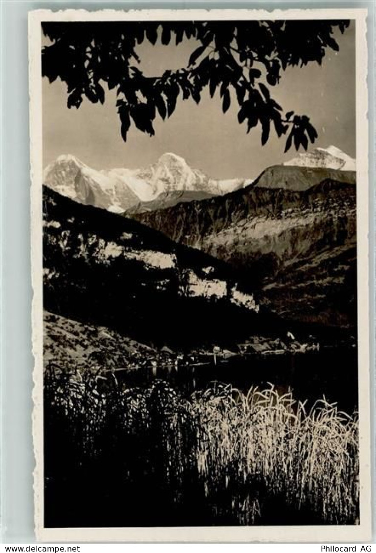 3600 Thun - 10311871