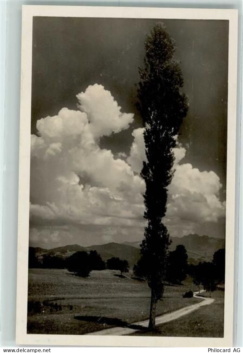 3600 Thun - 10311872