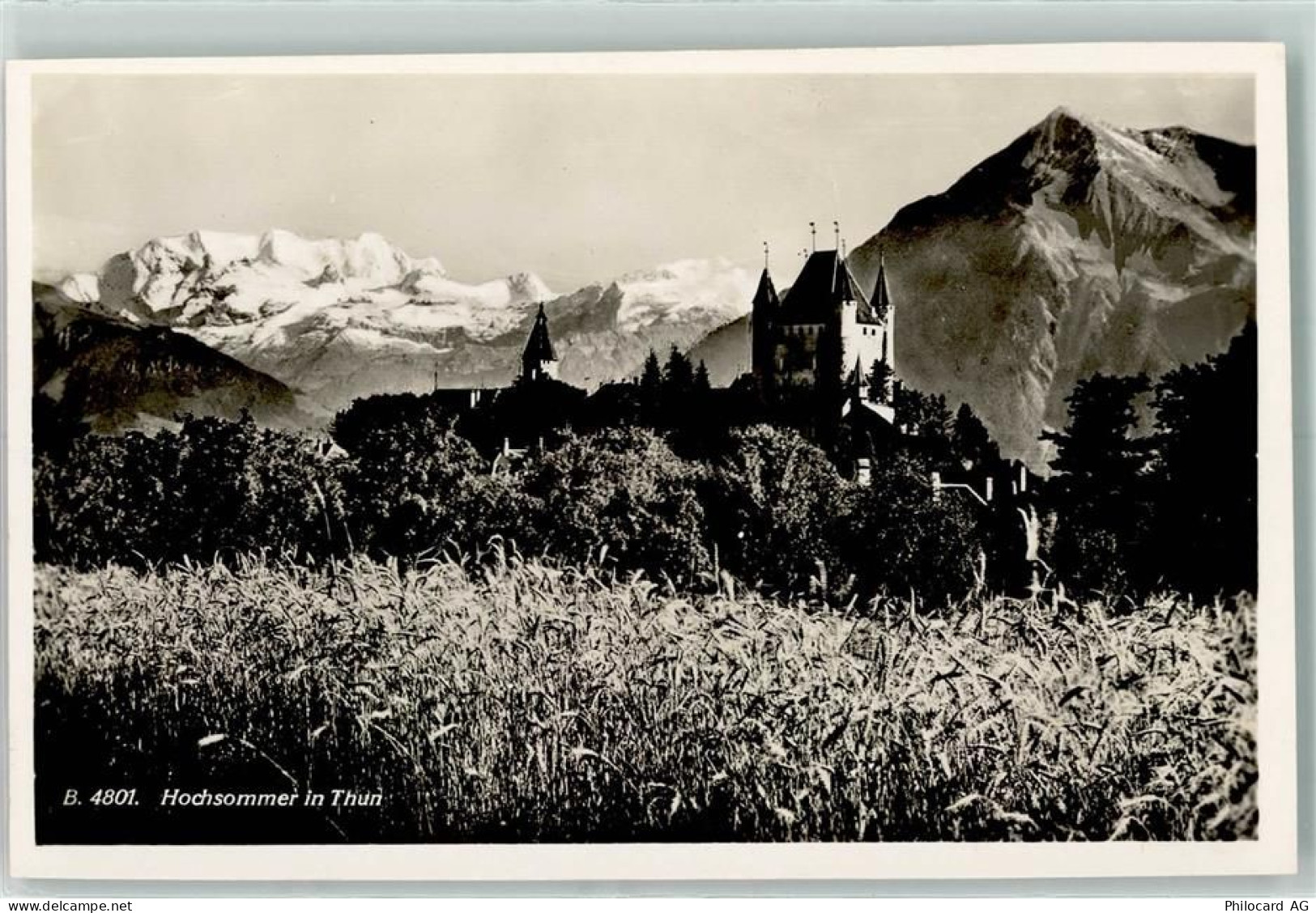 3600 Thun - 10311889