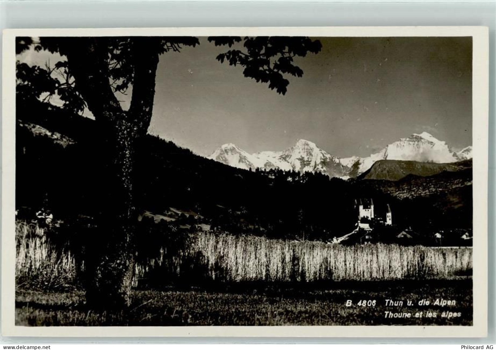 3600 Thun - 10311890