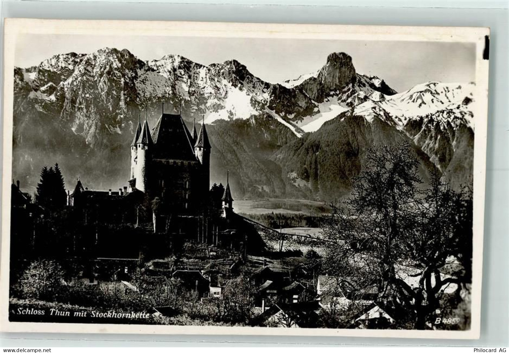 3600 Thun - 10311895