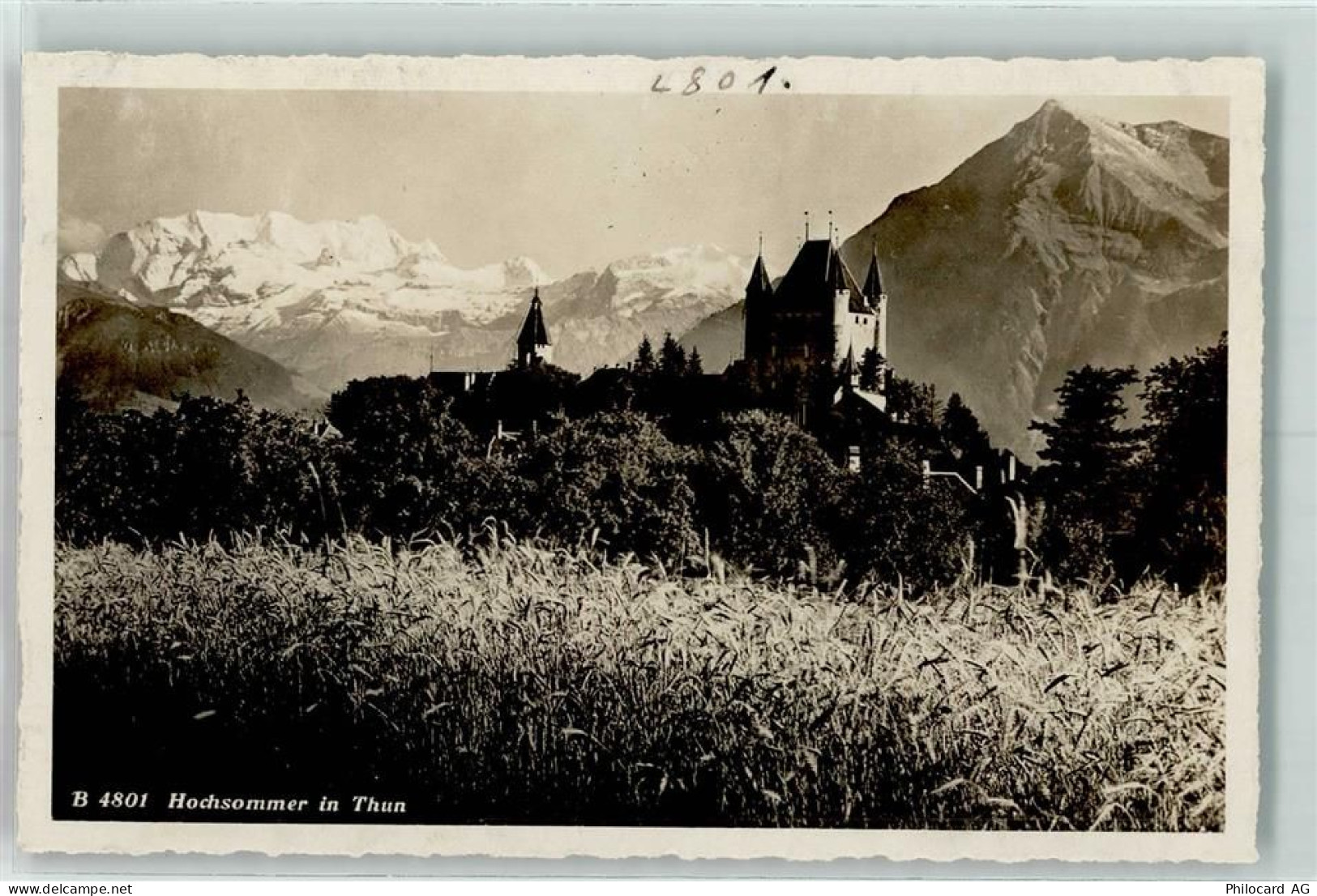 3600 Thun - 10311904