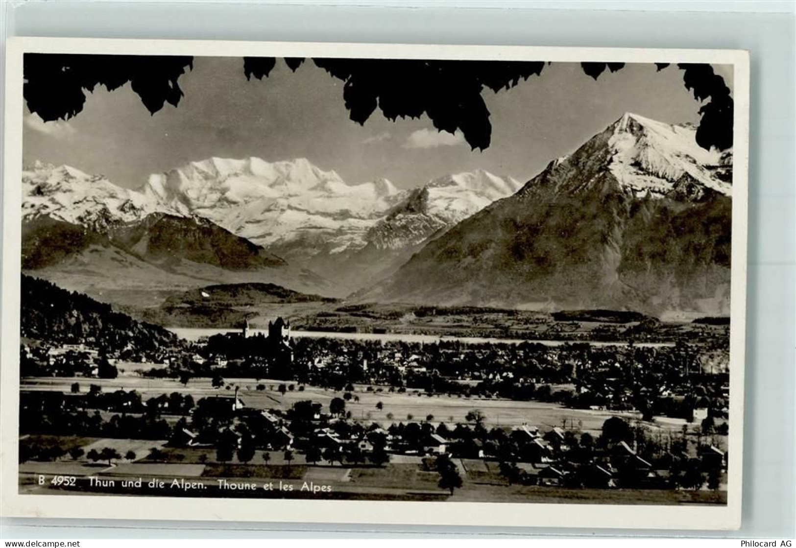 3600 Thun - 10311907