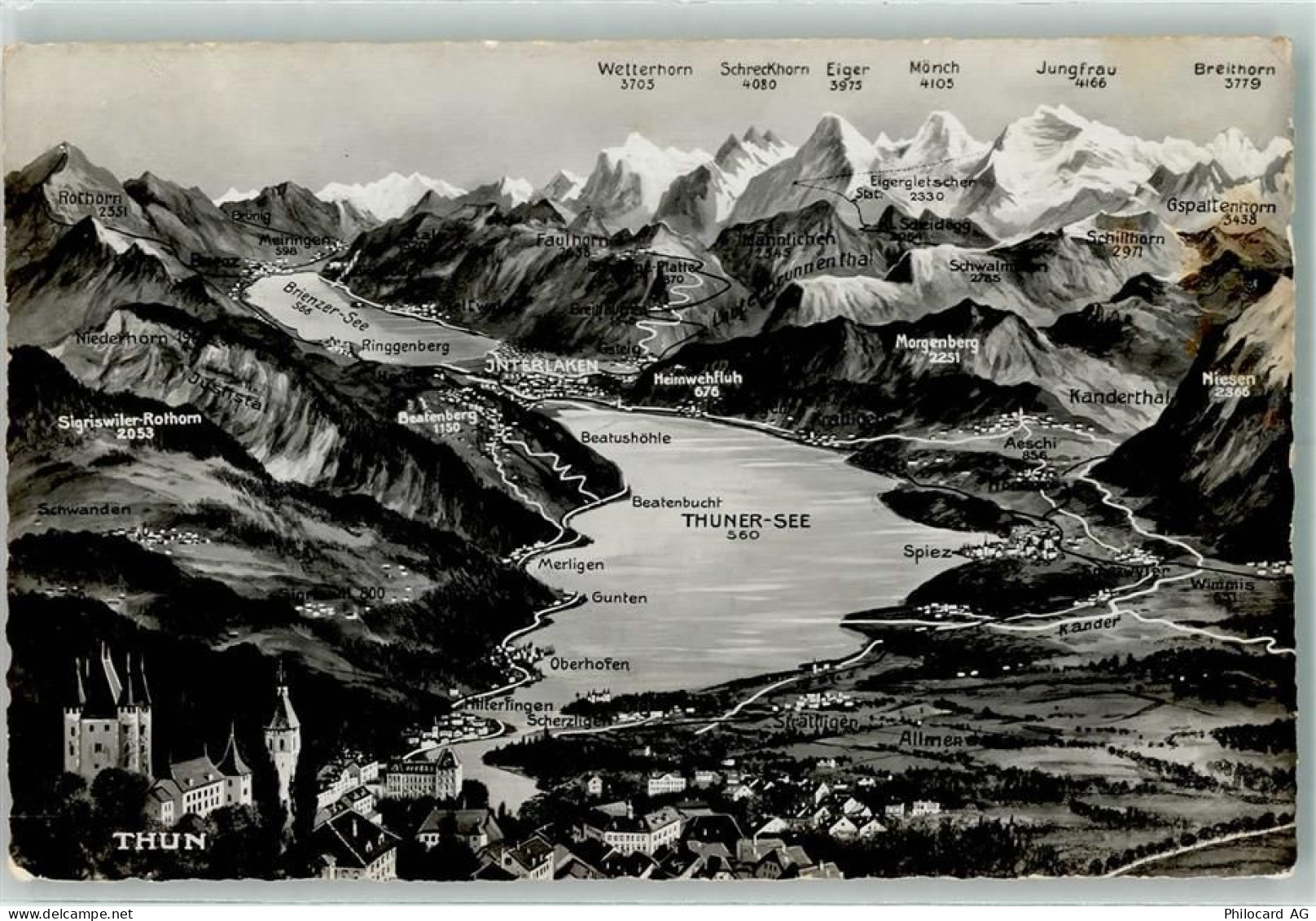 3600 Thun - 10311918